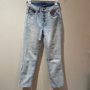 Sincerely Jules High Rise Jeans